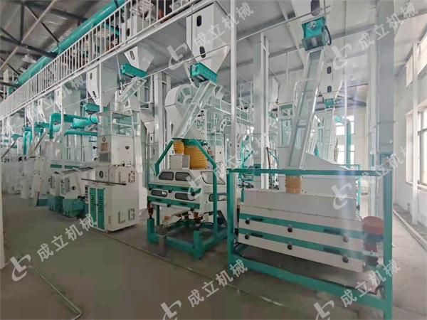 四川50噸大米加工設備投產(chǎn)運行